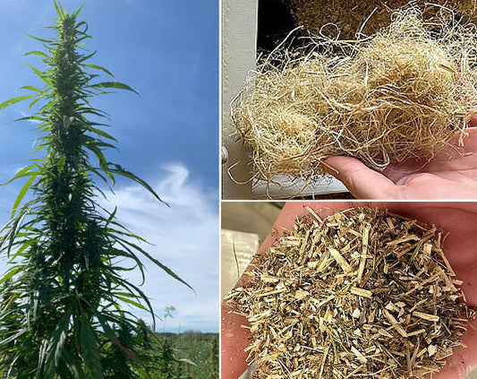 Industrial Hemp: The Future of a Biomaterial